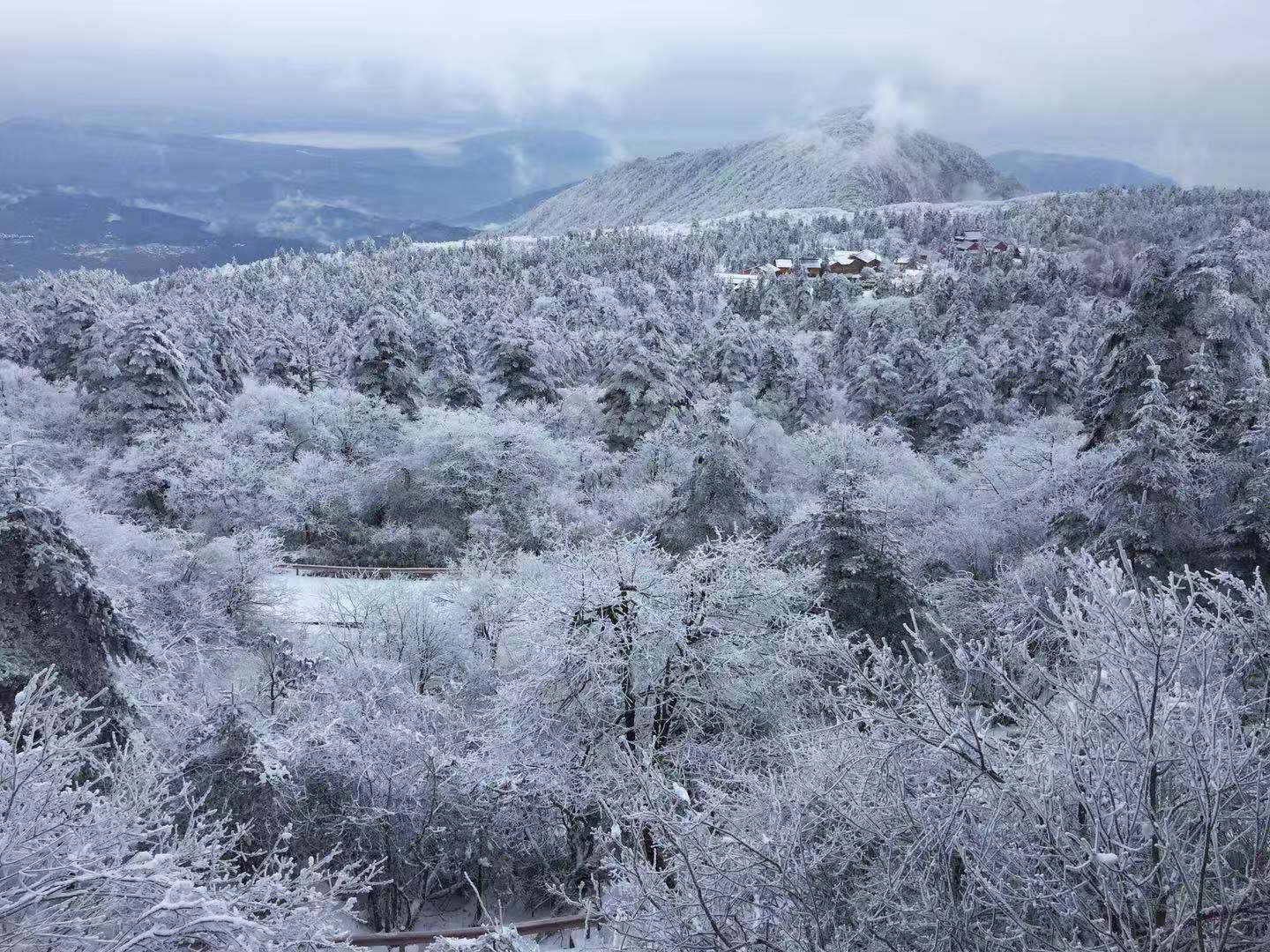 微信图片_20190104114811.jpg