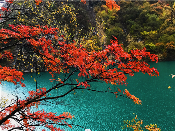 松坪沟1